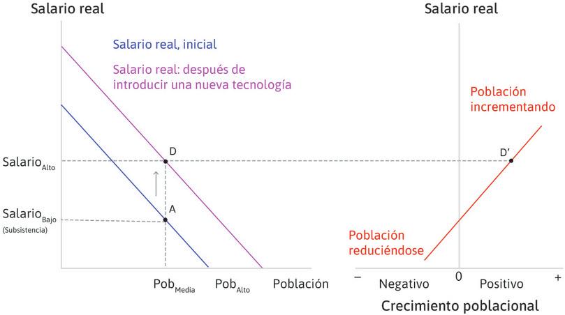 La población comienza a incrementarse
: En el punto D, el salario se ha elevado sobre el nivel de subsistencia y, por lo tanto, la población comienza a crecer (punto D′).
