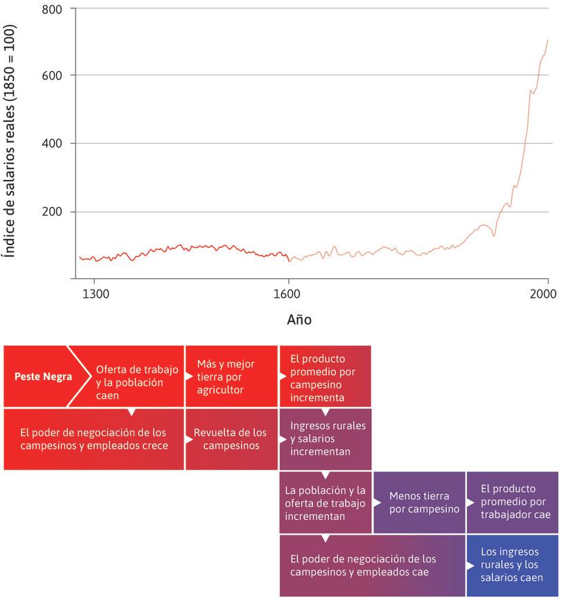 Una economía maltusiana en Inglaterra (1300 – 1600)
: En esta figura, examinamos la economía maltusiana que existió en Inglaterra entre los años 1300 y 1600, resaltados en la parte superior.
