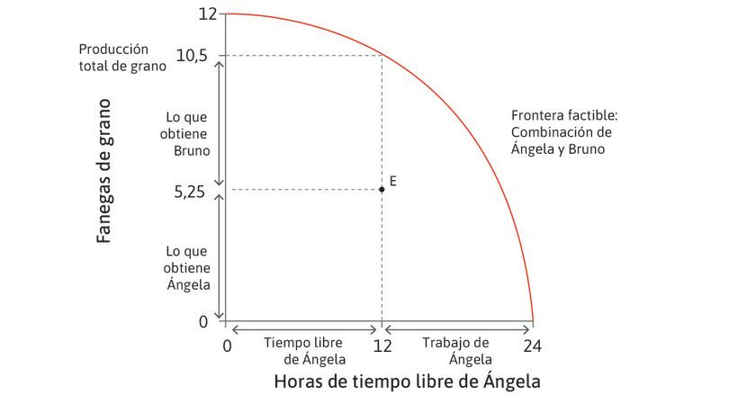 La distribución en el punto E
: En el punto E, Ángela trabaja 12 horas y produce 10,5 fanegas de grano. La distribución del grano es tal que 5,25 fanegas son para Bruno y Ángela se queda con las otras 5,25 fanegas para su propio consumo.
