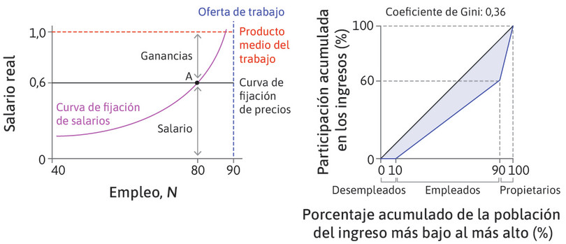 La distribución del ingreso en el equilibrio del mercado laboral.
