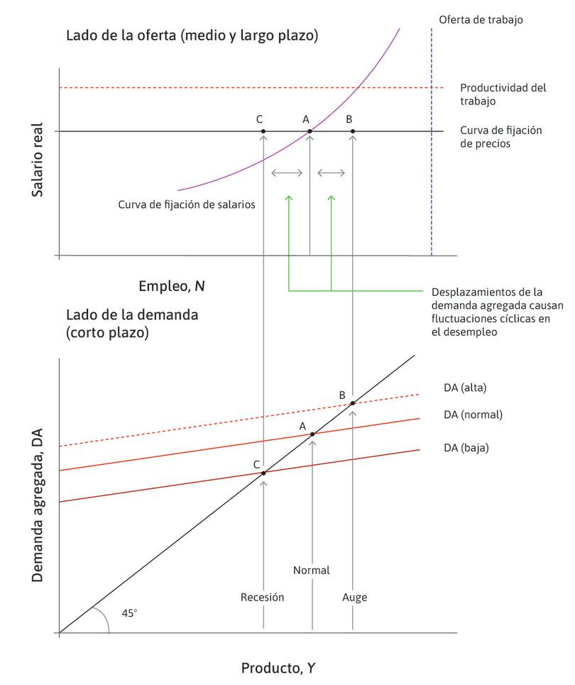 Fluctuaciones del ciclo económico en torno al desempleo de equilibrio.
