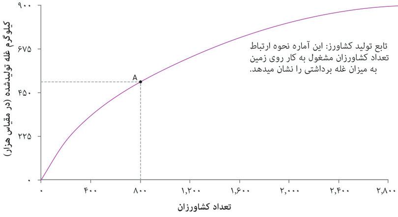 خروجی در حالتی که ۸۰۰ کشاورز داریم
: نقطه A روی تابع تولید نشانگر خروجی غله‌ی تولیدشده توسط ۸۰۰ کشاورز است.
