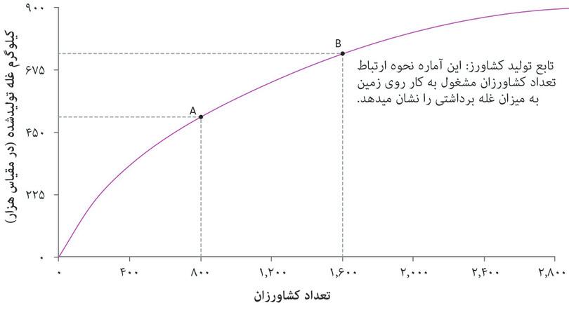 خروجی در حالتی که ۱۶۰۰ کشاورز داریم
: نقطه B روی تابع تولید نشانگر خروجی غله‌ی تولیدشده توسط ۱۶۰۰ کشاورز است.
