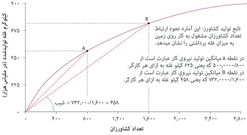 تابع تولید کشاورزان: میانگین تولید نیروی کار کاهش‌یابنده.
