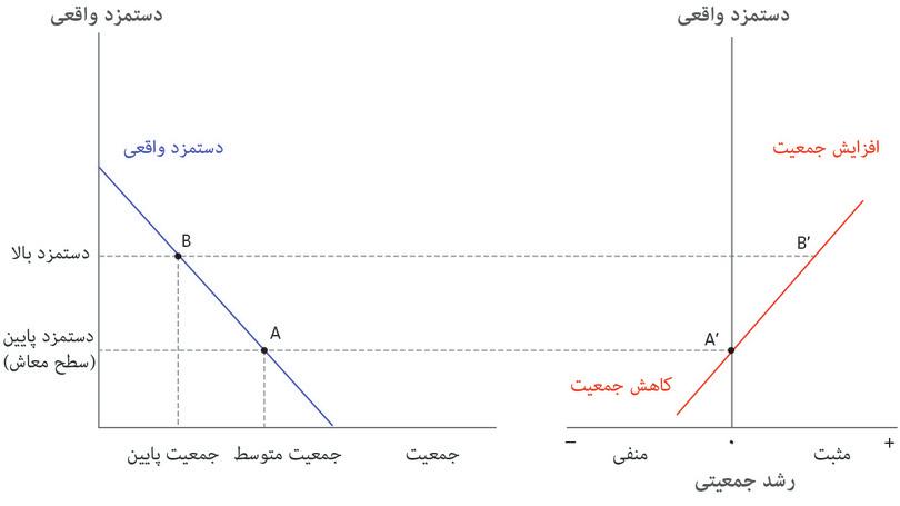 جمعیت کمتر
: فرض کنید اقتصاد، با دستمزد بالاتر و جمعیت کمتر در نقطه B است. نقطه B′، در سمت راست، نشان می‌دهد که جمعیت در حال افزایش خواهد بود.
