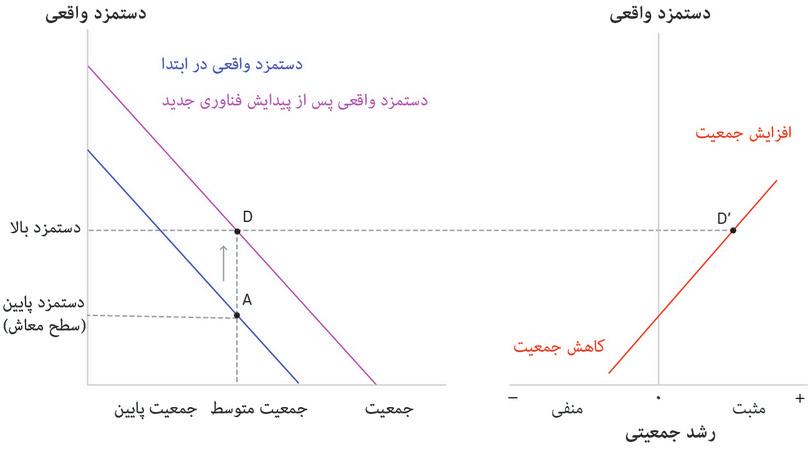 جمعیت شروع به افزایش می‌کند
: در نقطه D دستمزد به سطح بالاتر از سطح معاش افزایش پیدا کرده‌است و بنابراین جمعیت شروع به رشد می‌کند (نقطه D′).
