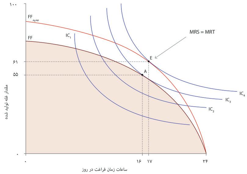 انتخاب آنجلا میان زمان آزاد و غله

