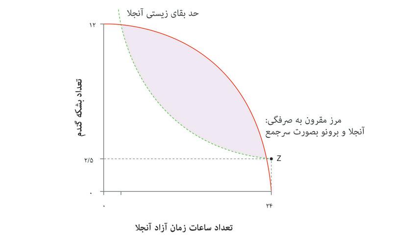 حد بقای زیستی
: اگر آنجلا اصلا کار نکند، برای بقا به ۲.۵ بوشل غله نیاز دارد (نقطه Z). اگر مقداری از زمان آزادش را از دست بدهد و انرژی‌اش را به کار کردن اختصاص دهد به غذای بیشتری نیاز خواهد داشت، و بنابراین منحنی، وقتی او زمان آزاد کمتری دارد، بالاتر است. این حد بقای زیستی است.
