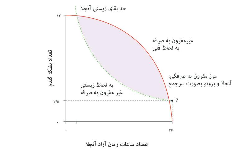نقاط به‌لحاظ زیستی غیرمقرون ‌به‌صرفه و نقاط به‌لحاظ فنی غیرمقرون ‌به‌صرفه
: کلیه نقاط پایین‌تر از حد بقای زیستی، به‌لحاظ زیستی غیرمقرون ‌به‌صرفه محسوب می‌شوند و کلیه نقاط بالای مقرون به‌صرفه‌گی به‌لحاظ فنی غیرمقرون ‌به‌صرفه هستند.
