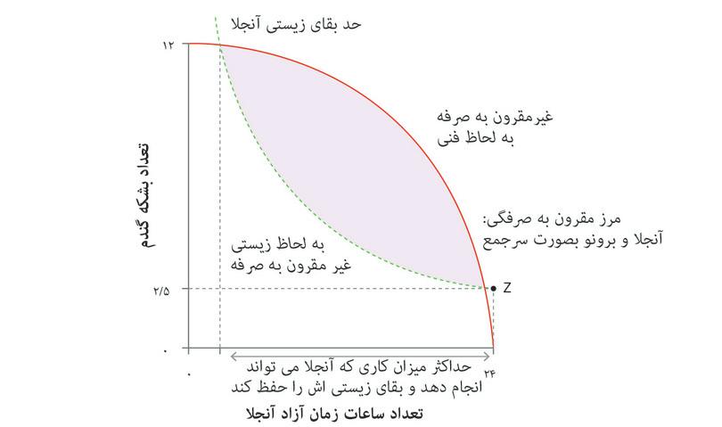 روز حداکثر کار برای آنجلا
: براساس مرز مقرون به‌صرفه‌گی، میزان حداکثری از کار وجود دارد که کار بیشتر از آن بقای آنجلا را به خطر می‌اندازد، حتی اگر کل غله تولیدی را مصرف کند.
