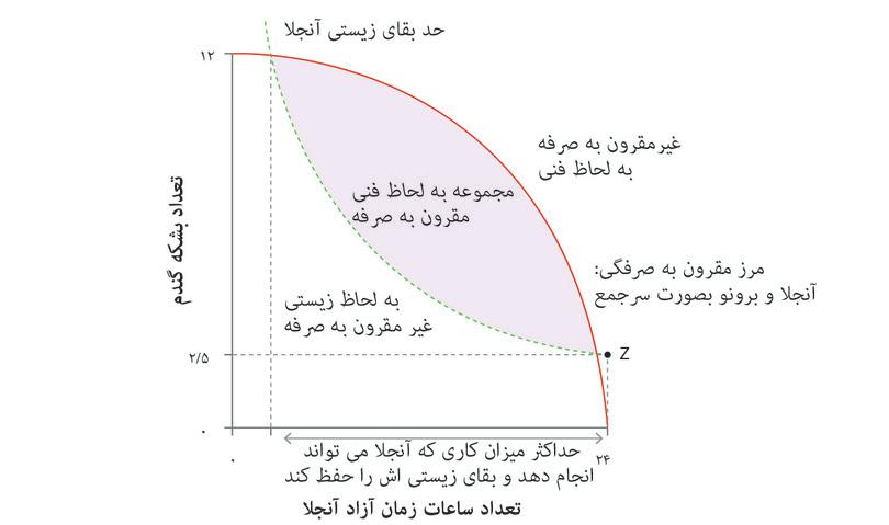 تخصیص‌های به‌لحاظ فنی مقرون ‌به‌صرفه
