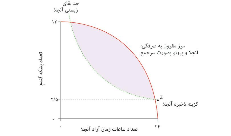 گزینه ذخیره آنجلا
: نقطه Z تخصیصی که آنجلا در آن کار نمی‌کند و تنها جیره معیشتی از دولت دریافت می‌کند، گزینه ذخیره نامیده می‌شود.
