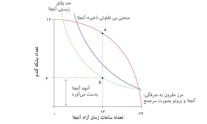 بهترین نتیجه ممکن برای برونو با استفاده از زور
: برونو با استفاده از زور، تخصیص B را انتخاب می‌کند. آنجلا را مجبور می‌کند که ۱۱ ساعت کار کند و خودش غله‌ای برابر با AB برمی‌دارد. MRT در نقطه A با MRS در نقطه B روی حد بقای زیستی آنجلا برابر است.
