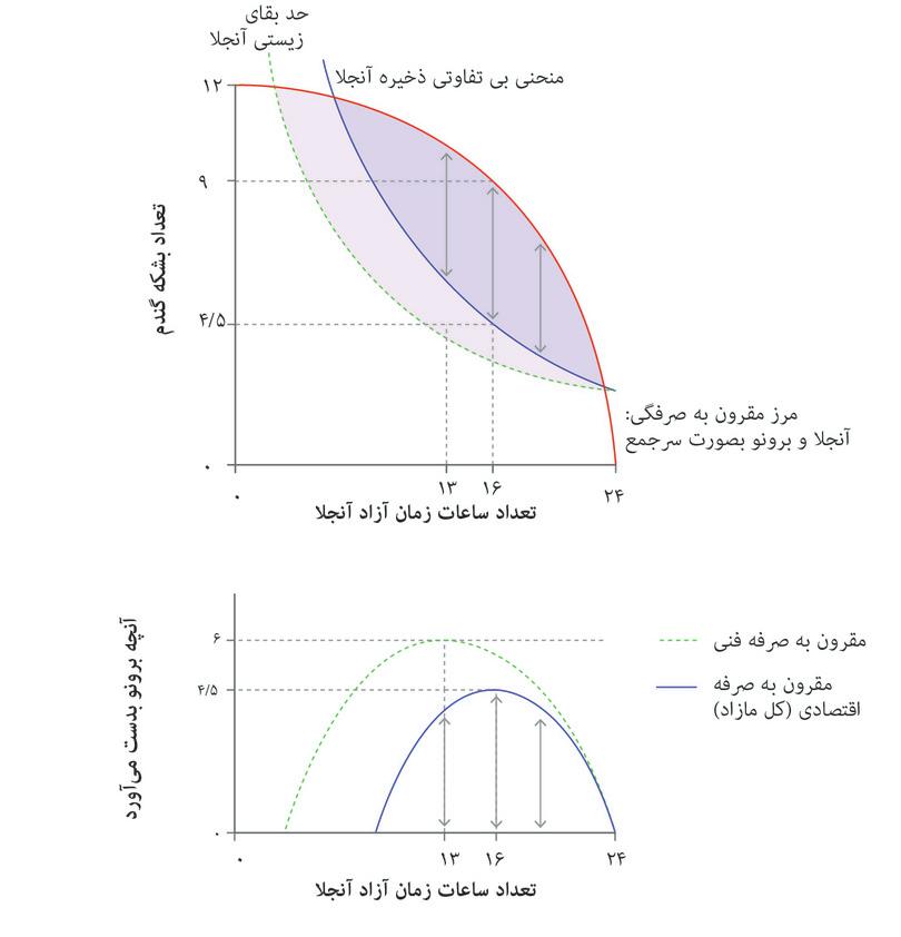پیشنهاد بردار-یا-بگذار برونو درحالتی که آنجلا امکان رد دارد.
: پیشنهاد بردار-یا-بگذار برونو درحالتی که آنجلا امکان رد دارد.
