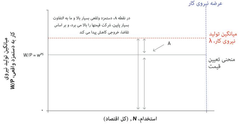 نقطه A
: نقطه A بالای منحنی تعیین-قیمت قرار دارد و این بدین معناست که دستمزد واقعی بالاتر از نقطه‌ای منطبق با مابه التفاوت به حداکثررساننده سود بنگاه اقتصادی است. اگر دستمزد واقعی بسیار بالا باشد، به این معناست که مابه التفاوت بسیار پایین است.
