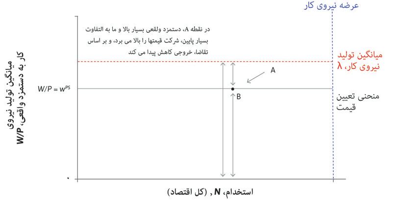 نقطه B
: بنگاه اقتصادی قیمتش را بالا می‌برد تا به سمت سود بیشتر در نقطه B حرکت کند. افزایش قیمت به معنای این است که کالای کمتری فروخته شده و از آنجا که این در مورد همه بنگاه‌های اقتصادی صدق می‌کند، کل استخدام هم کاهش پیدا می‌کند.
