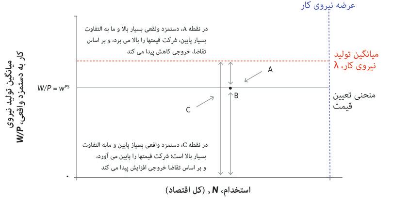 نقطه C
: پایین‌تر از منحنی تعیین قیمت، در نقطه‌ای مثل C، بنگاه‌های اقتصادی قیمت‌شان را پایین‌تر می‌آورند و افراد بیشتر استخدام می‌کنند.
