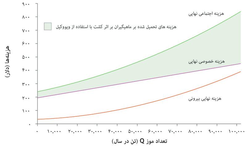 هزینه‌های جانبی تولید موز با استفاده از شپش‌کش
