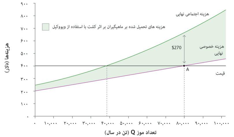انتخاب مزارع از میزان تولید موز