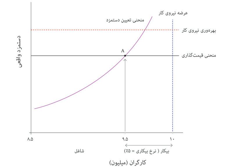 نیمهی عرضهی کل اقتصاد: بازار نیروی کار