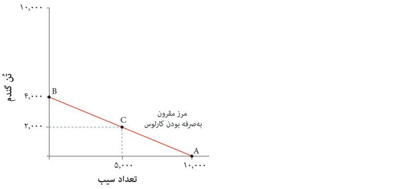 انتخاب‌ کارلوس
: او می‌تواند هر یک از ترکیبات‌ روی (یا داخل‌) مرز مقرون‌به‌صرفه‌گی را انتخاب کند. مثلاً می‌تواند انتخاب کند که ۲۰۰۰ تن گندم و ۵۰۰۰ سیب تولید کند که با نقطه C نشان داده شده.
