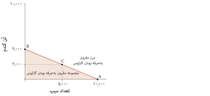 مجموعه‌ی مقرون‌به‌صرفه‌گی‌ کارلوس
: او می‌تواند هر نقطه‌ای میان‌ مبدأ و مرز‌ مقرون‌به‌صرفه‌گی‌ تولید را برای تولید انتخاب کند. منطقه سایه‌دار قرمزرنگ مجموعه‌ی مقرون‌به‌صرفه‌گی او را نشان می‌دهد.
