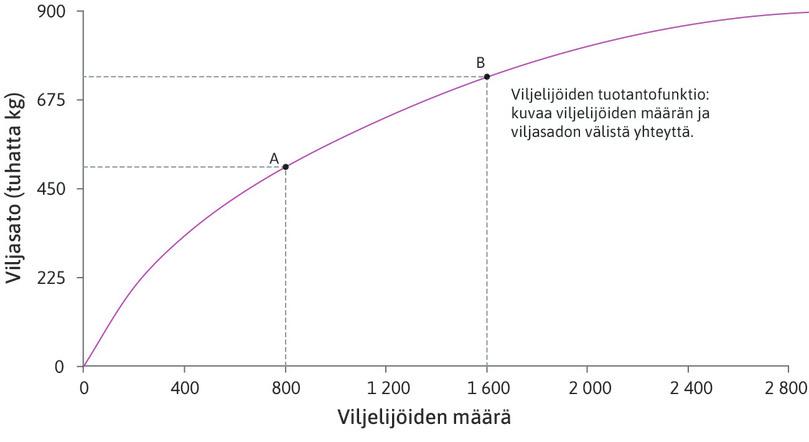 1 600 viljelijän tuotos
: Tuotantofunktion piste B kertoo viljatuotoksen, kun viljelijöitä on 1 600.
