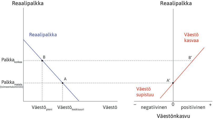 Pienempi väestö
: Talous on nyt pisteessä B, jossa palkat ovat korkeammat ja väestö pienempi. Oikean kaavion piste B′ kertoo, että väestö kasvaa.

