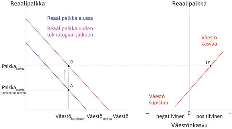 Väestö alkaa kasvaa
: Pisteessä D palkat ylittävät toimeentulominimin, jolloin väestö alkaa kasvaa (piste D′).

