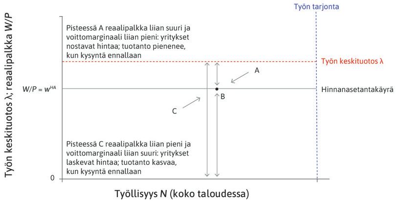 Piste C
: Hinnanasetantakäyrän alapuolella pisteessä C yritykset laskevat hintojaan ja palkkaavat lisää työntekijöitä.

