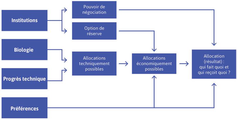 Les déterminants fondamentaux des résultats économiques