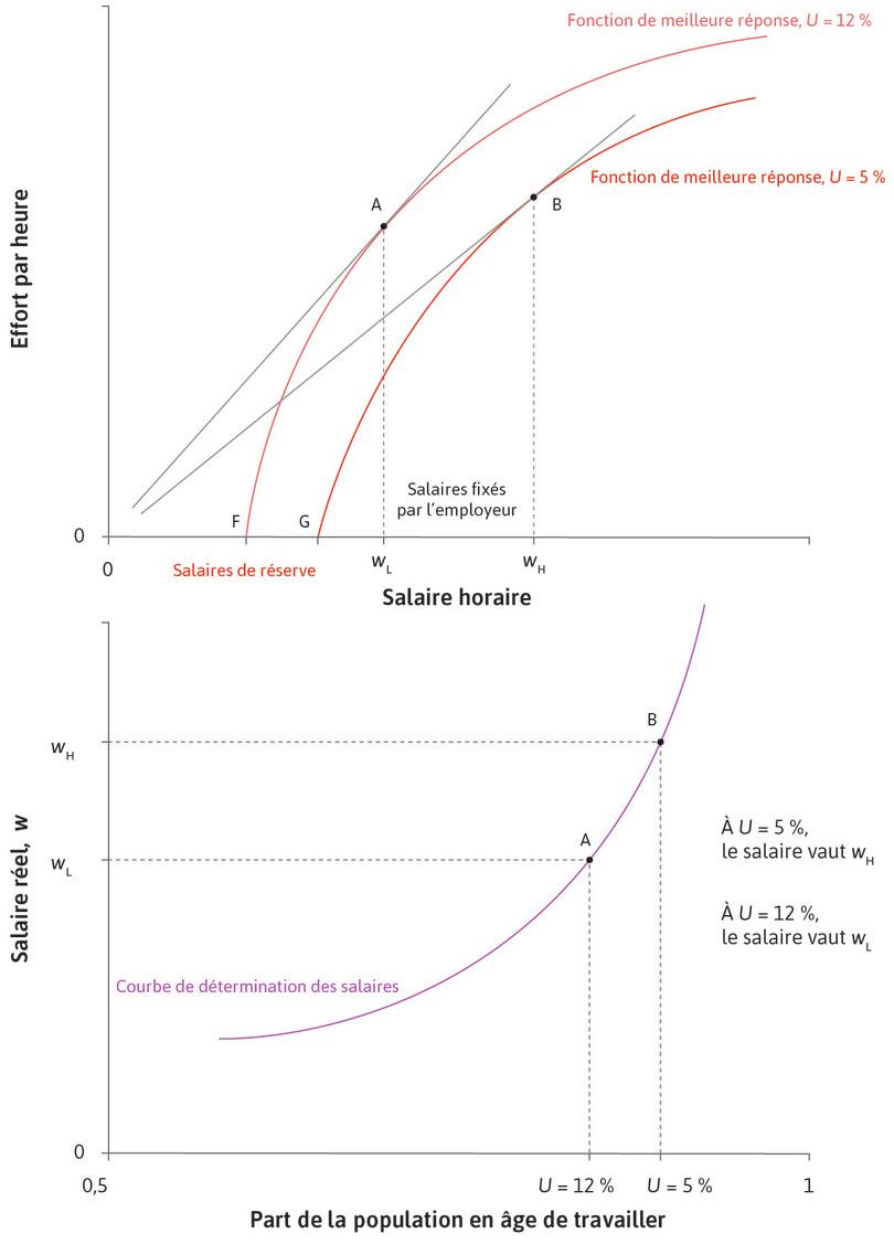 Obtention de la courbe des salaires : variation du taux de chômage de l’économie.