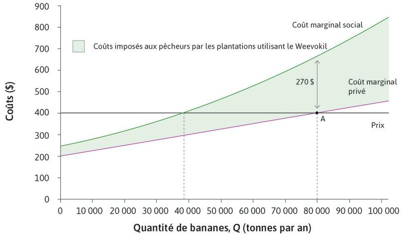 Le choix des plantations pour le niveau de production de bananes.