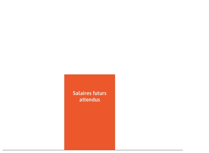 Attentes sur les revenus futurs du travail
: Elles sont représentées par le rectangle orange.
