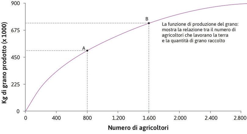 Produzione quando ci sono 1.600 agricoltori.
: Il punto B sulla funzione di produzione mostra l’output di grano prodotto da 1.600 agricoltori.
