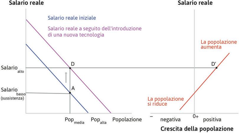 La popolazione comincia a crescere
: Nel punto D, il salario è cresciuto oltre il livello di sussistenza e quindi la popolazione comincia a crescere (punto D’).
