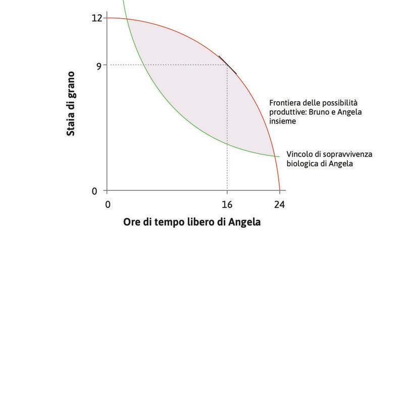 Bruno può ordinare ad Angela di lavorare
: Bruno può scegliere un’allocazione tra quelle tecnicamente possibili. Prende in considerazione l’idea di lasciare che Angela lavori 8 ore al giorno, producendo 9 staia.
