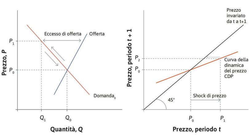 La dinamica del prezzo
: La CDP mostra che se il prezzo in questo periodo è \(P_1\), allora sarà \(P_2\) nel prossimo periodo.
