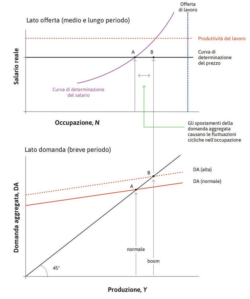 Un boom
: Consideriamo il caso di un aumento degli investimenti che muova la curva della domanda aggregata fino a DA (alta). Produzione e occupazione crescono e l’economia si sposta in B: durante la fase di espansione la disoccupazione scende al di sotto del 5%. L’occupazione addizionale è detta occupazione ciclica.
