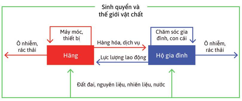 Nền kinh tế bao gồm các hộ gia đình và doanh nghiệp phụ thuộc vào một sinh quyển khỏe mạnh và một môi trường vật chất ổn định.